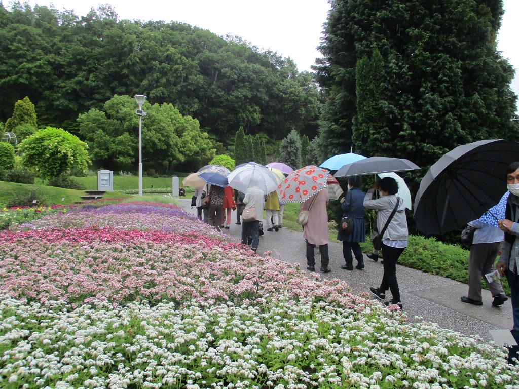 5月『やまぐちフラワーランド散策』の画像3