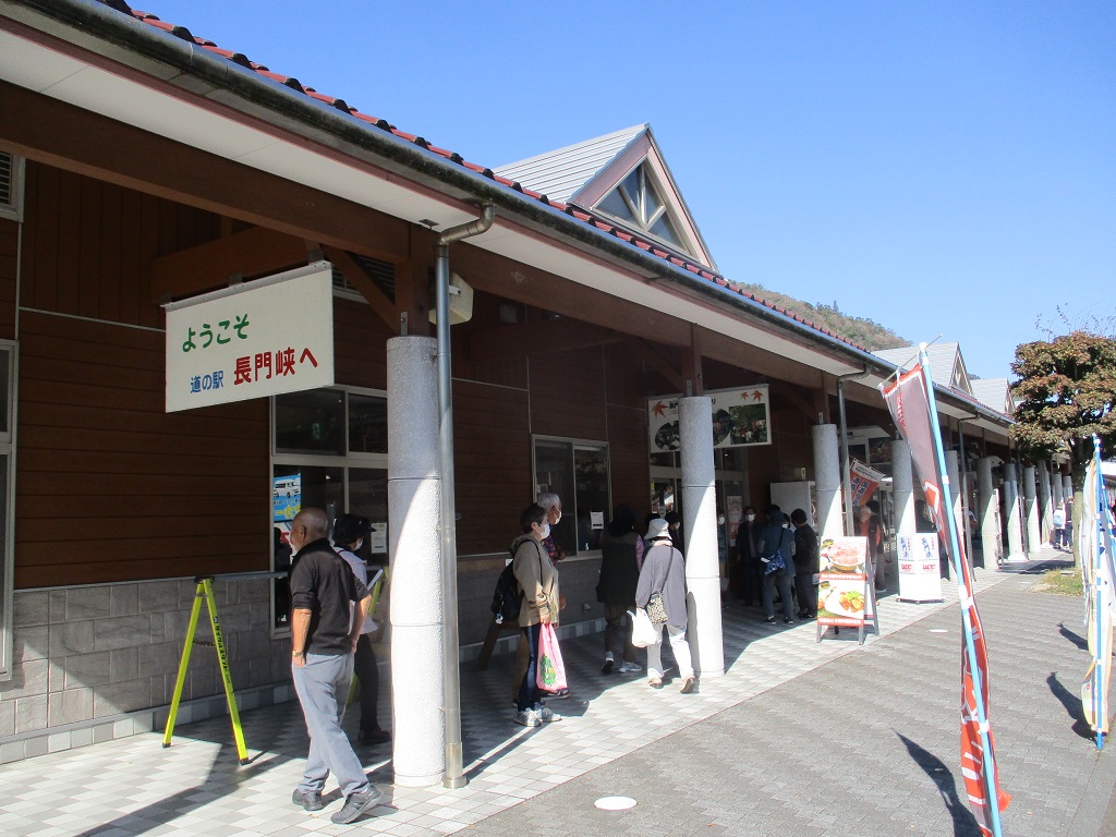 11月　研修旅行『徳佐りんご狩り・船方農場』の画像8