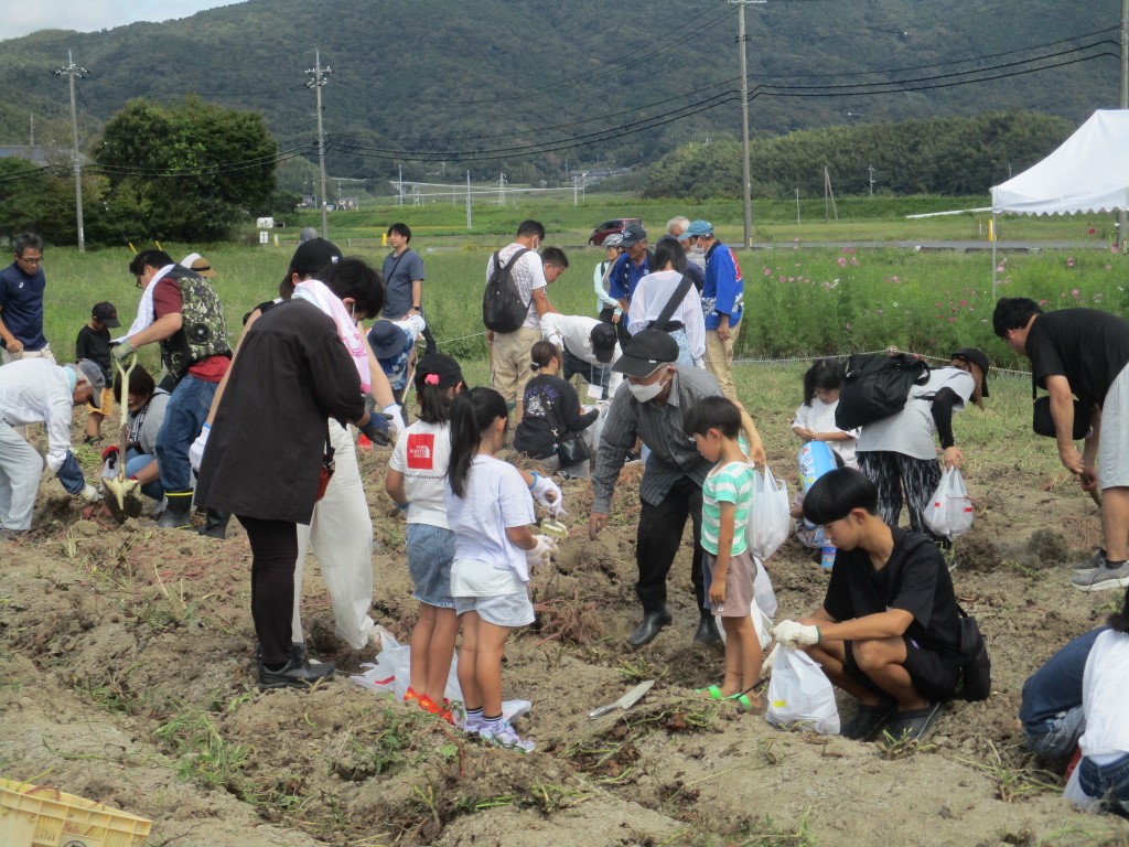 第30回　東田布施コスモスまつりの画像2