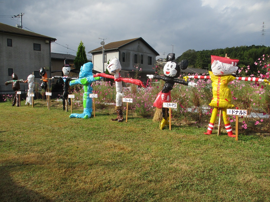 第30回　東田布施コスモスまつりの画像3