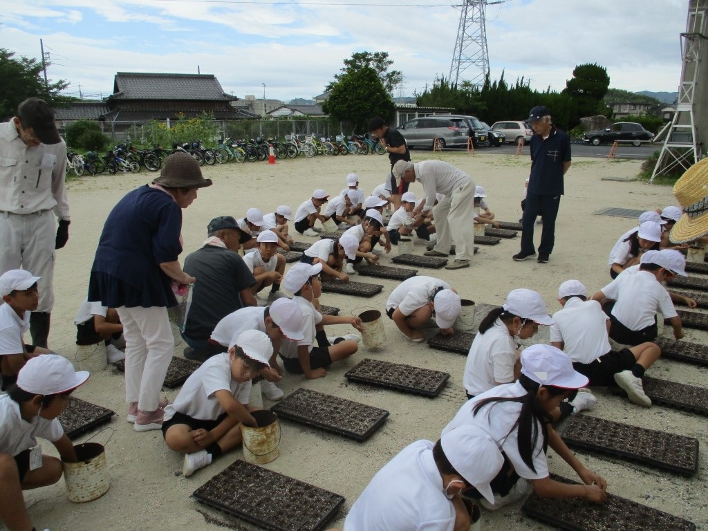 7月21日にコスモス広場へ移植予定の画像
