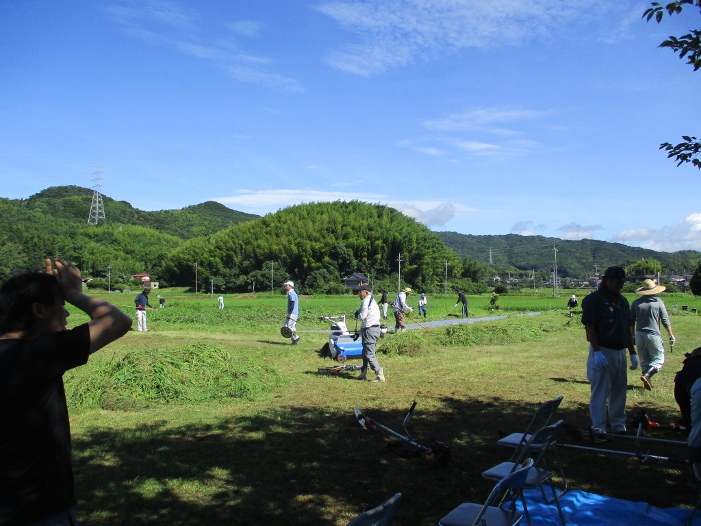 後ほど兼本さんが草を回収の画像
