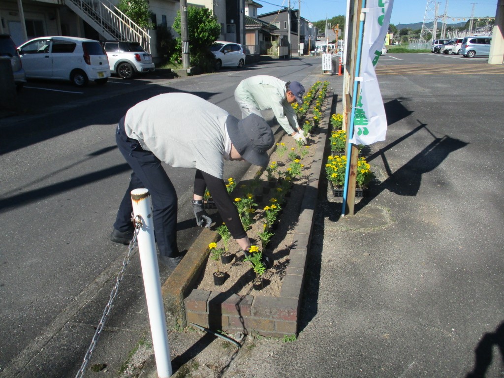 道路側の花壇の画像