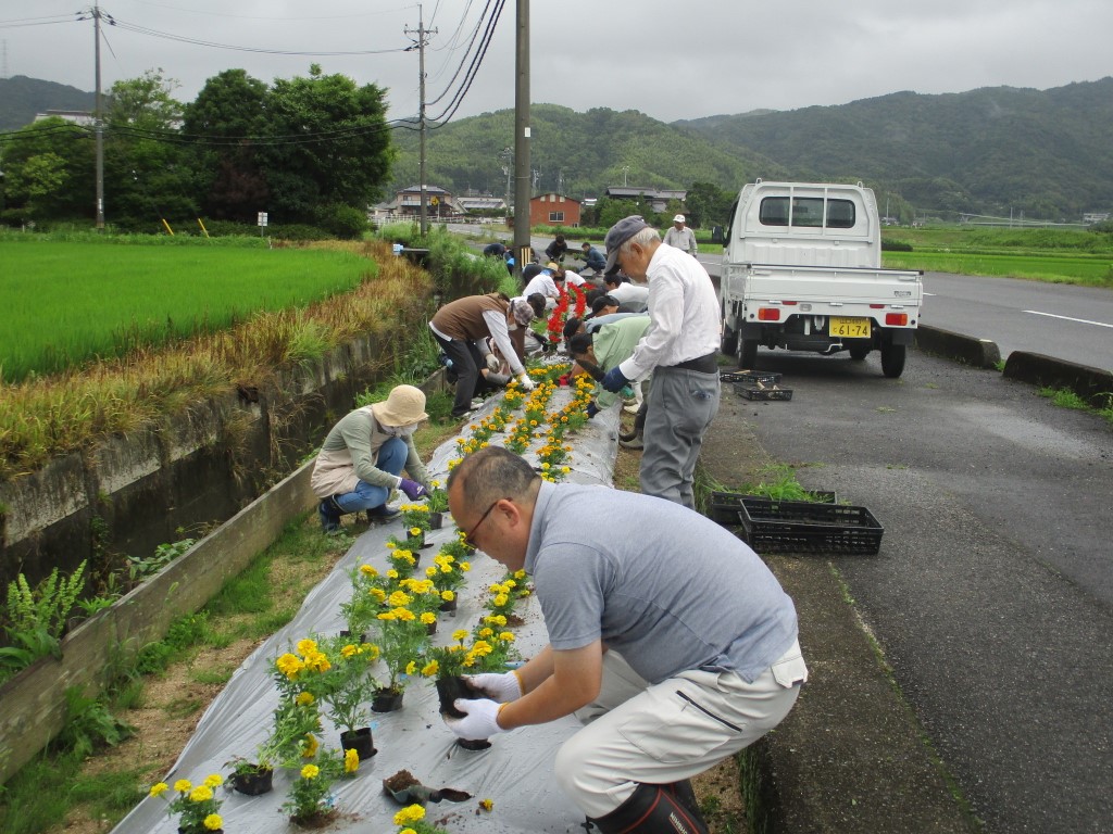 同じ種類ごとに植え付けの画像