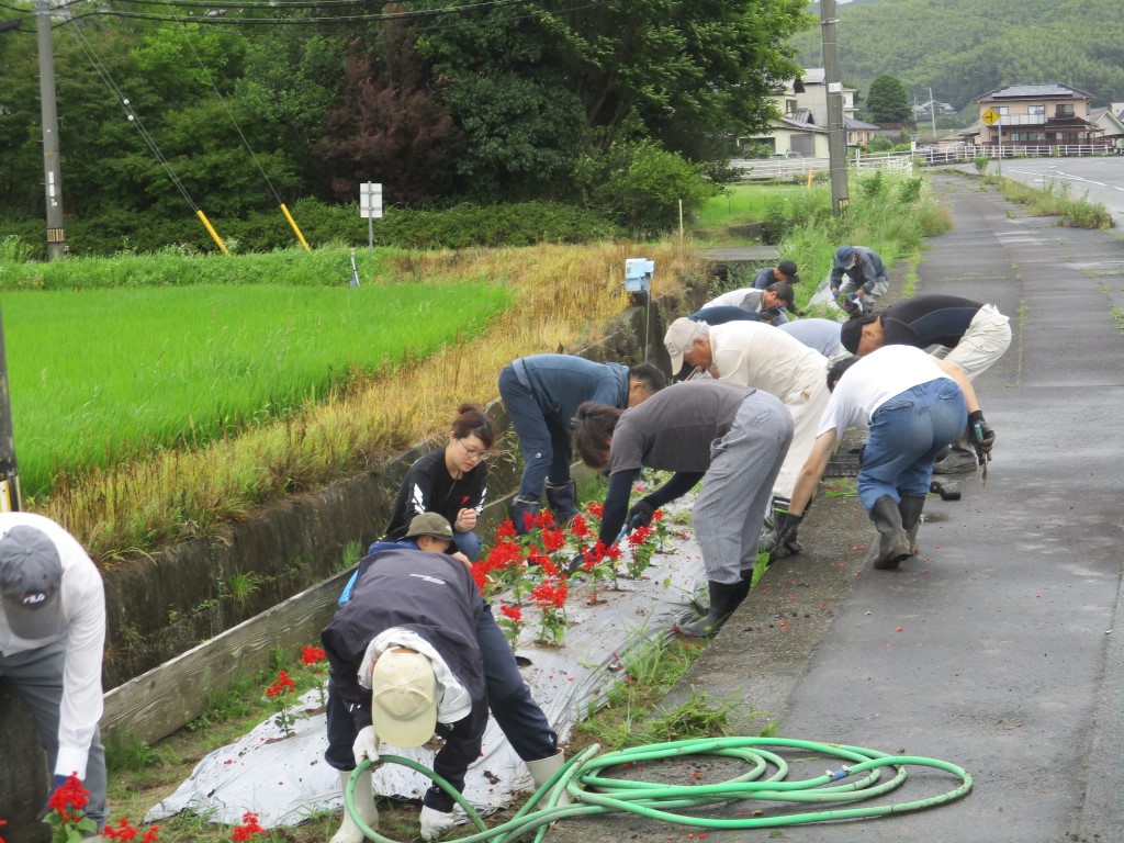 立派な花が咲きますようにの画像