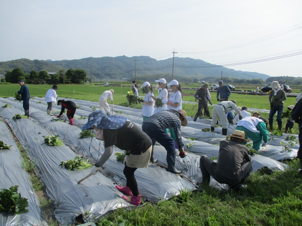 均等に穴を竹棒であける作業の画像