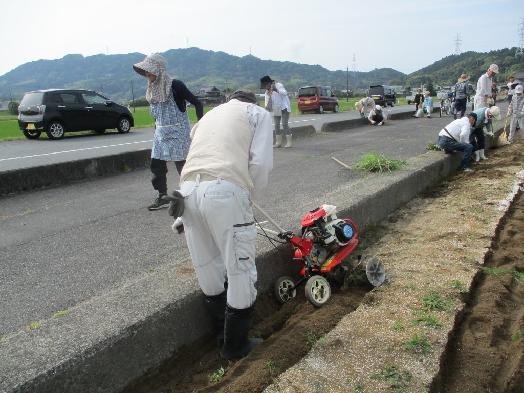 ミニ耕運機で耕起の画像