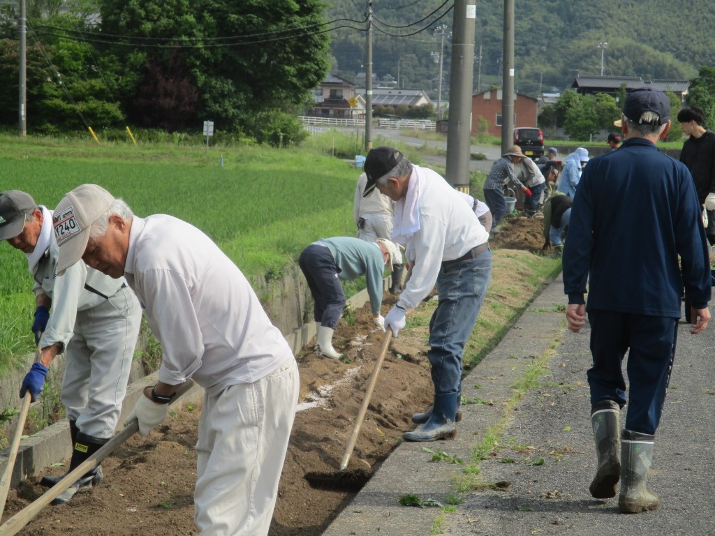 鍬で耕すのは重労働の画像