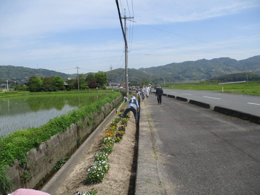 見違えるように綺麗にの画像