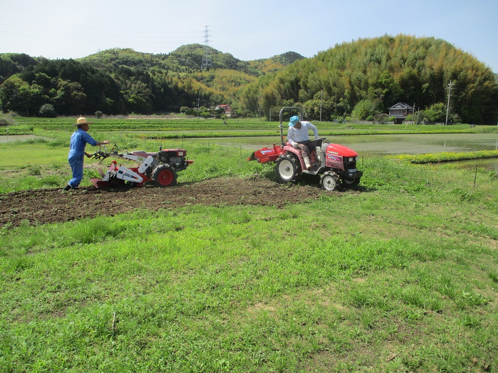 耕運機やトラクターで耕起の画像