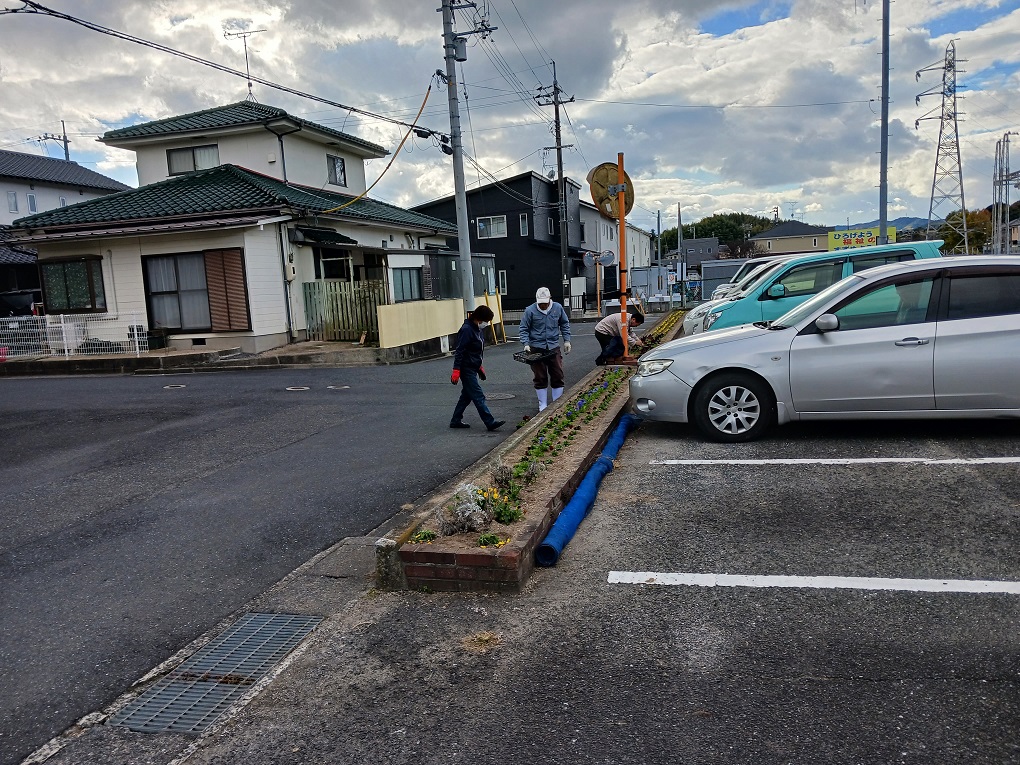 等間隔に苗を置いての画像