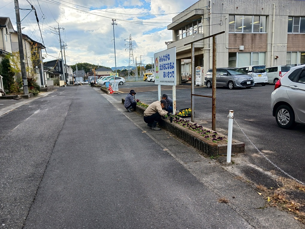 ひたすら植えていきましたの画像