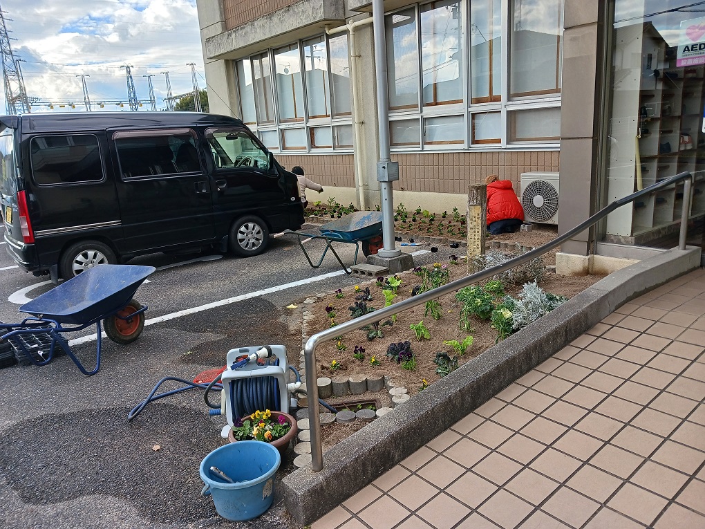 チューリップの球根も植えましたの画像