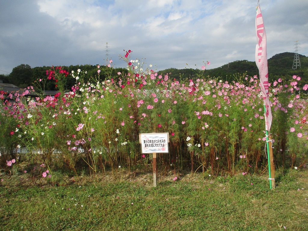 10月15日(日曜日)午前8時～の画像2