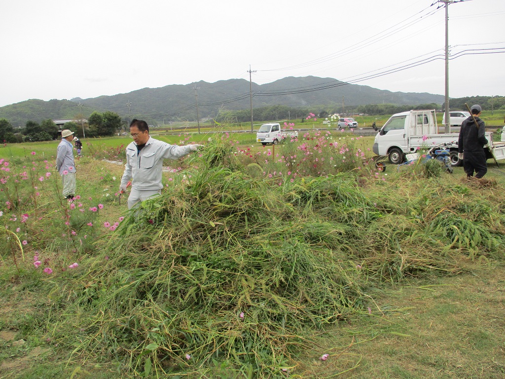 集めた草は山盛りですの画像