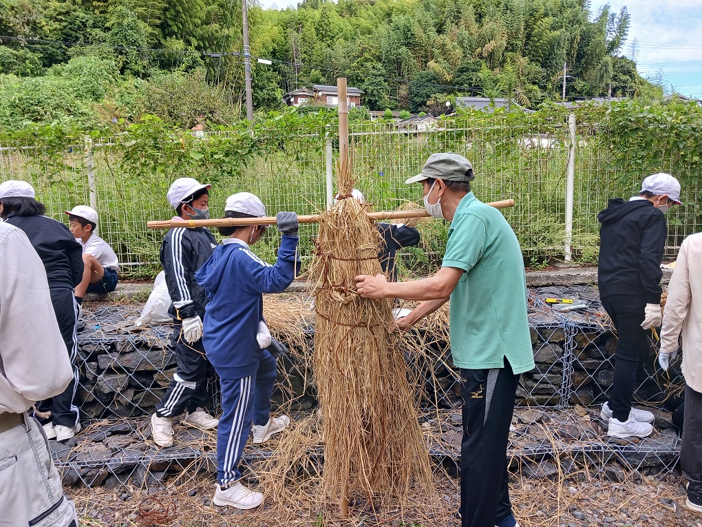 縦に肉付き良く取付の画像