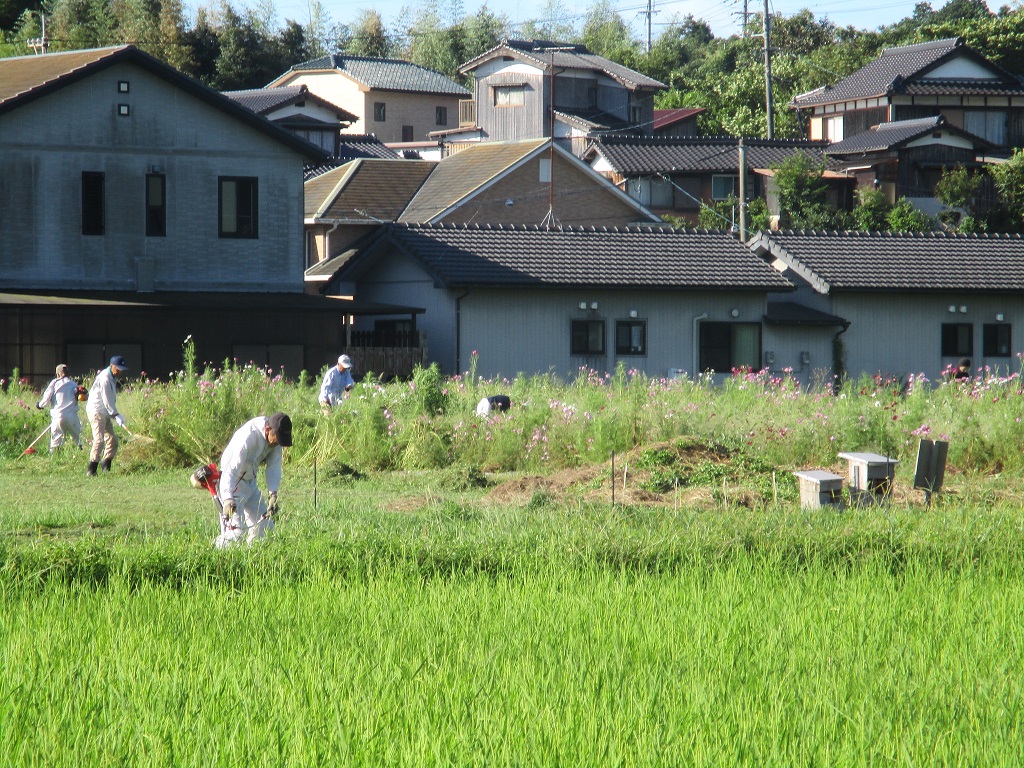どんどん伸びる草を草刈りの画像