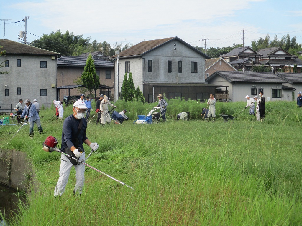背丈の伸びた草を草刈り機での画像