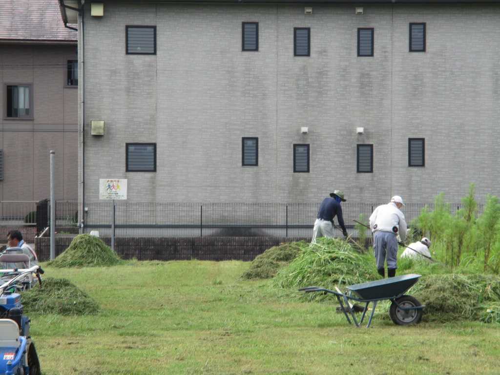 草刈り後の草の山が沢山の画像