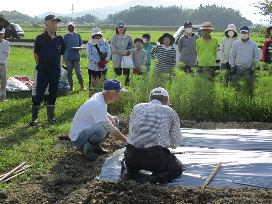 植え方のお手本の画像