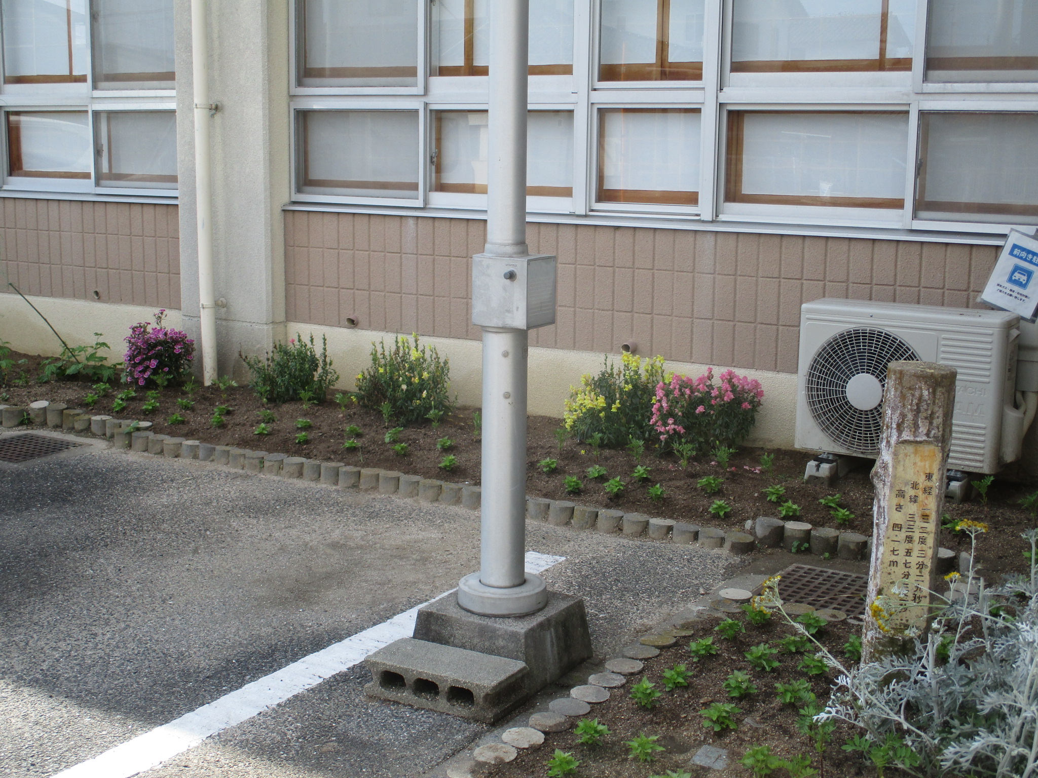 講座室前のゴーヤの横にも植付の画像