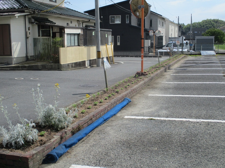 道路側の花壇の画像