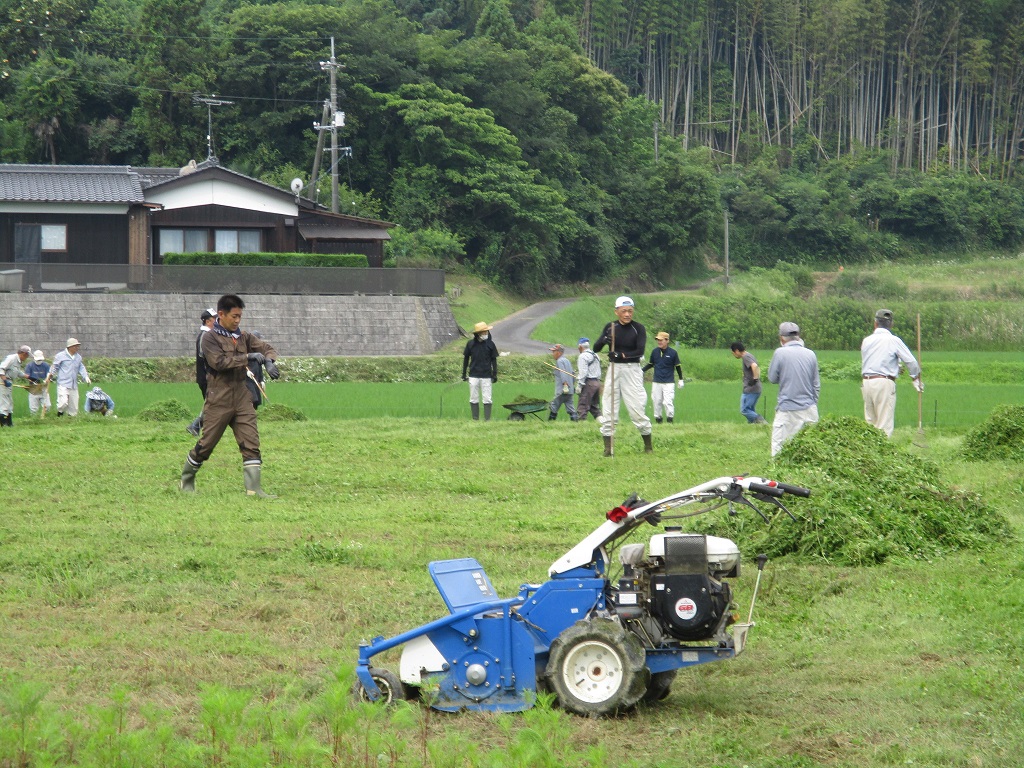 がんぜきで草を集めますの画像