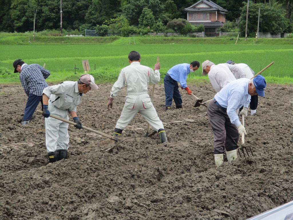 畝づくりを手作業での画像