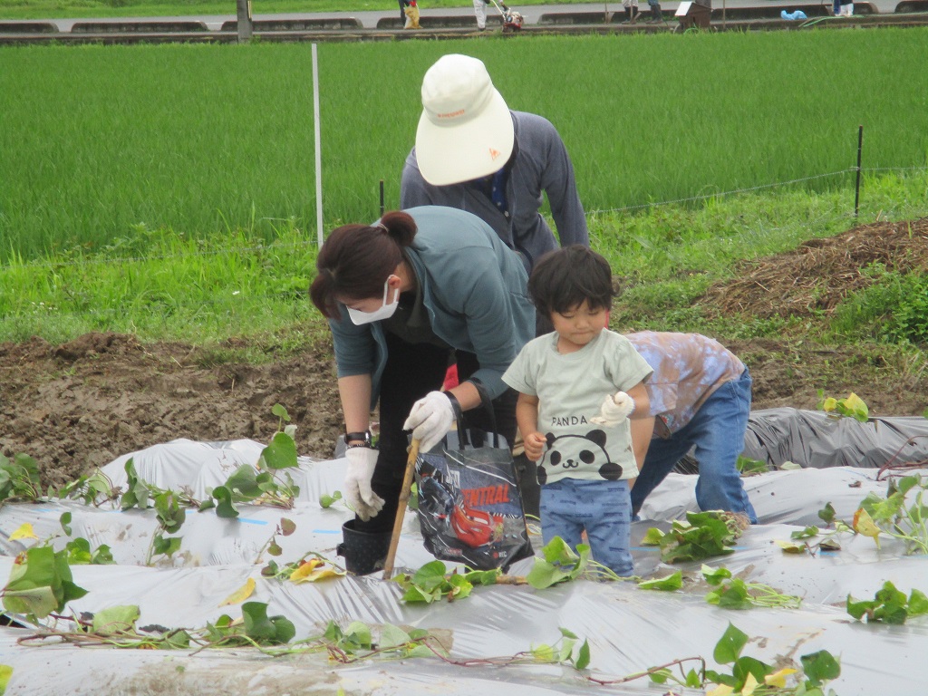 頑張って植えるぞ！の画像