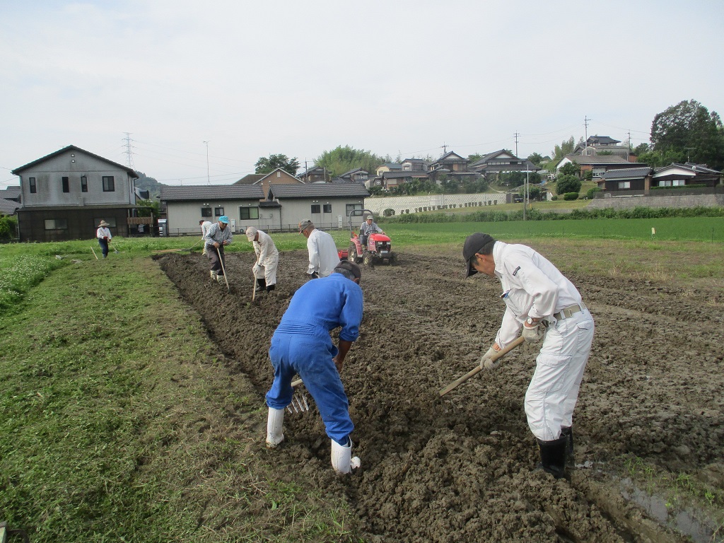 ぬかるんでいる所を人力で耕起の画像