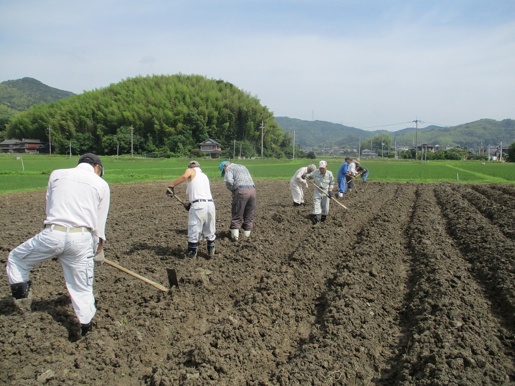 溝上げはすべて人力でしたの画像