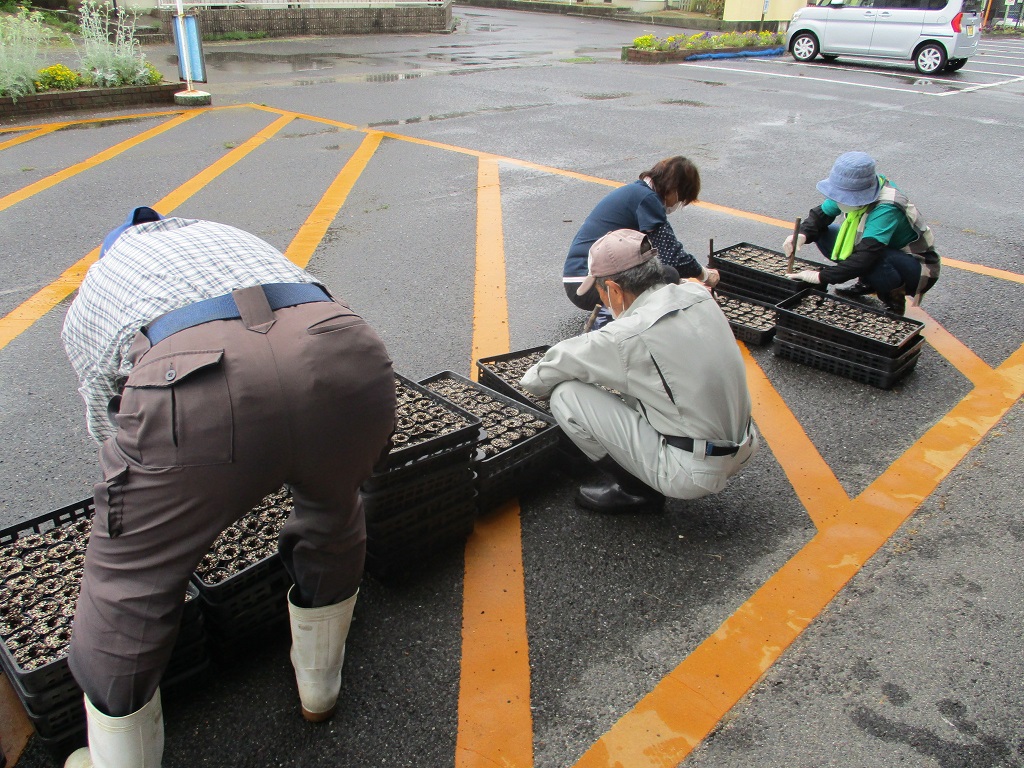 雨で土にはしっかりと水分が入りましたの画像