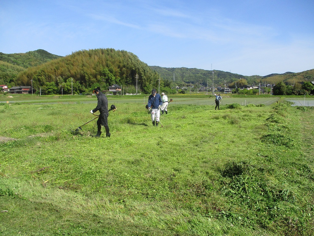 草刈り機が大活躍の画像