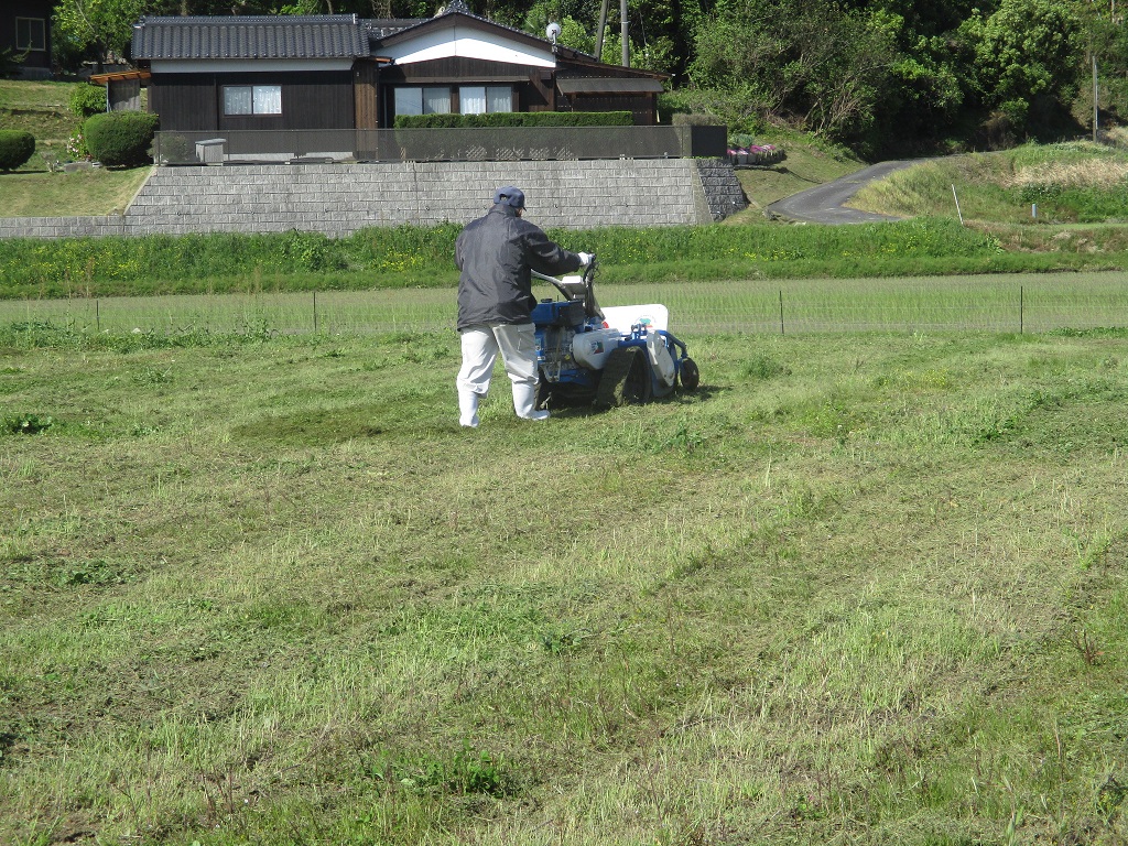 お陰で綺麗になりましたの画像