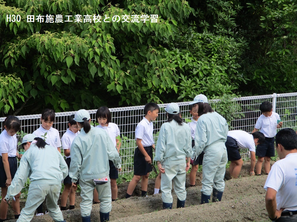 沿革の画像7
