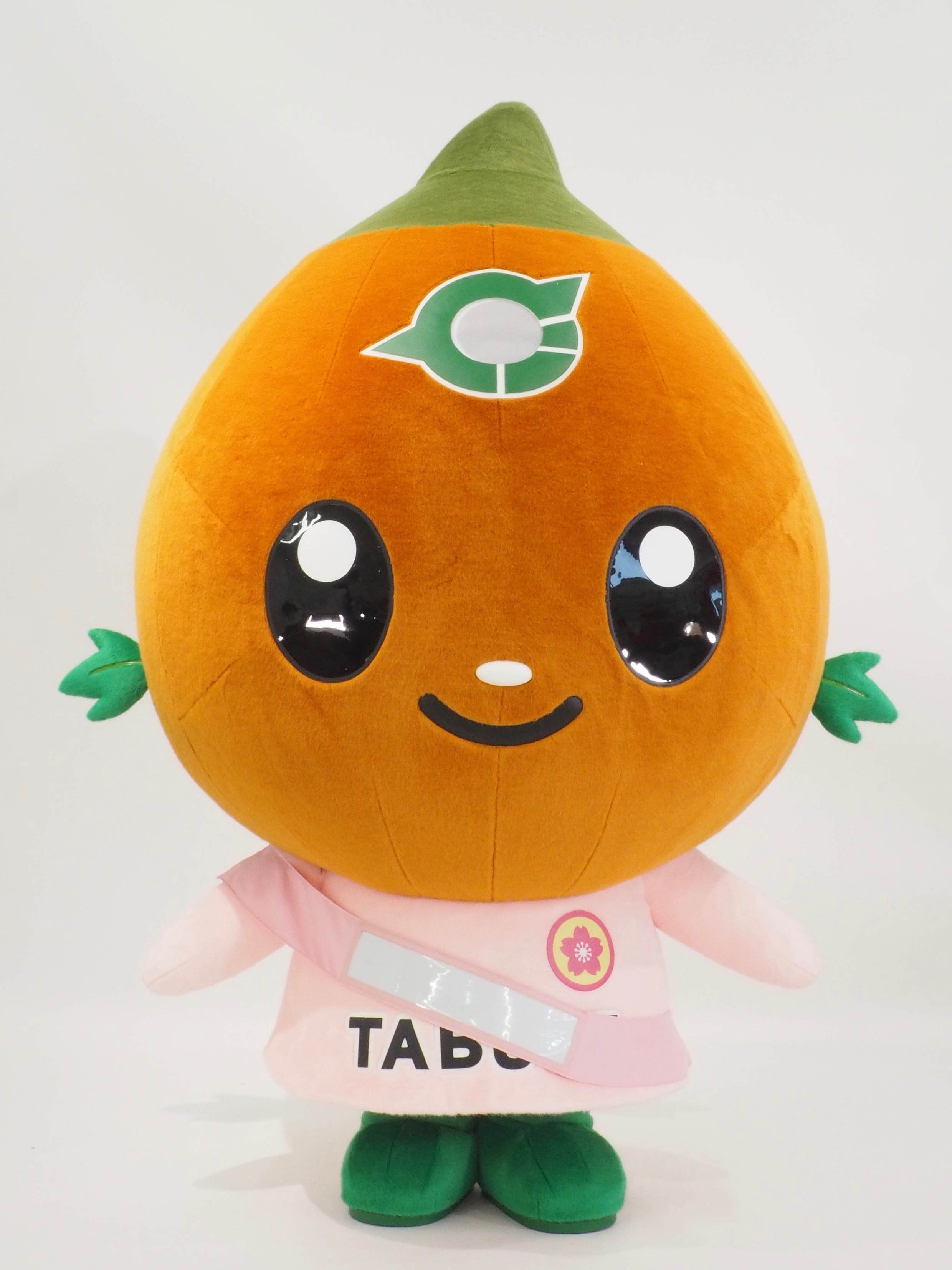 ご当地キャラクター「たぶちゃん」の写真です。
