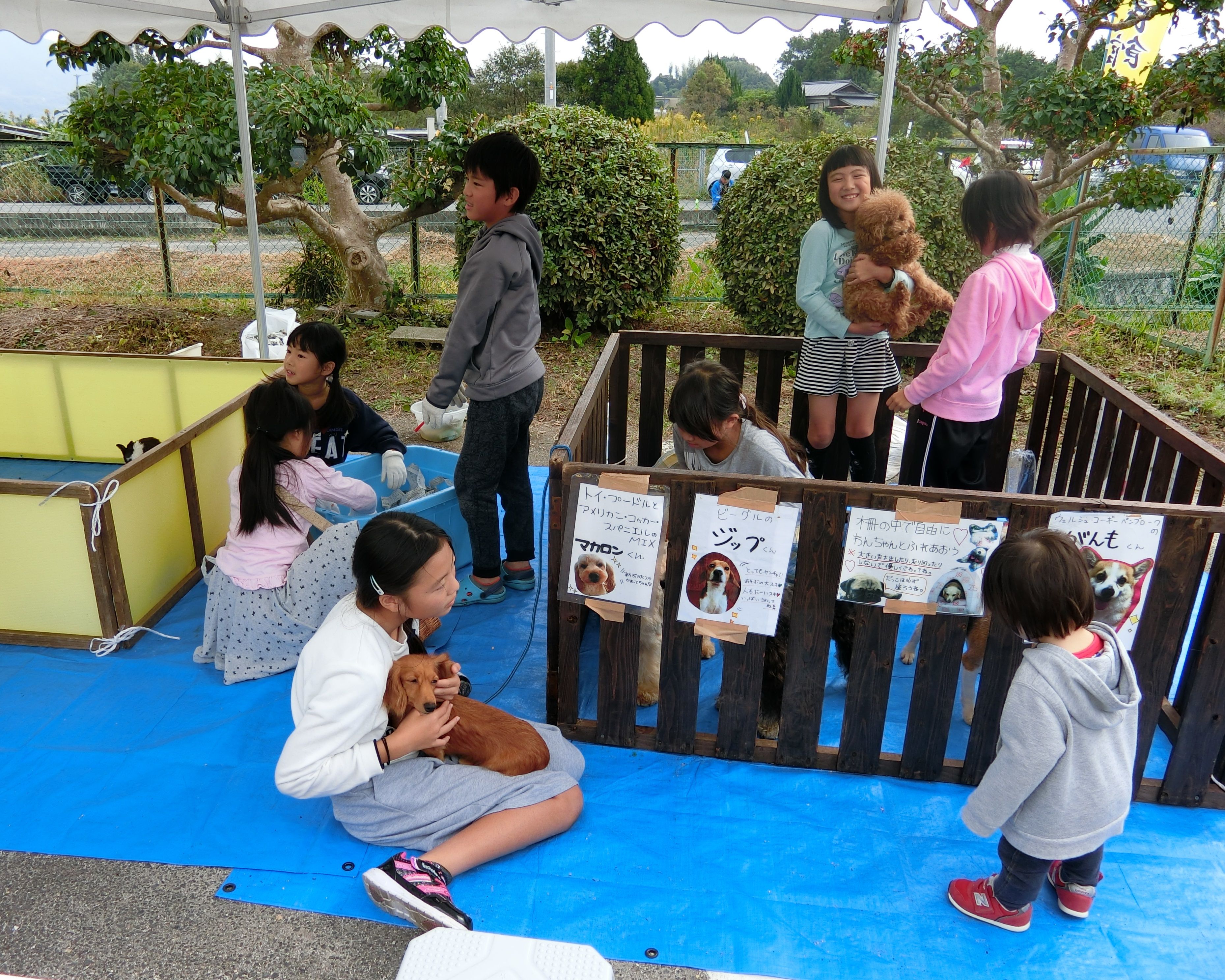 写真ふれあい動物園