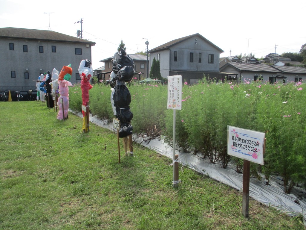 第30回　東田布施コスモスまつり　開催の画像3