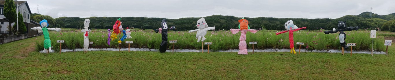 第30回　東田布施コスモスまつり　開催の画像4