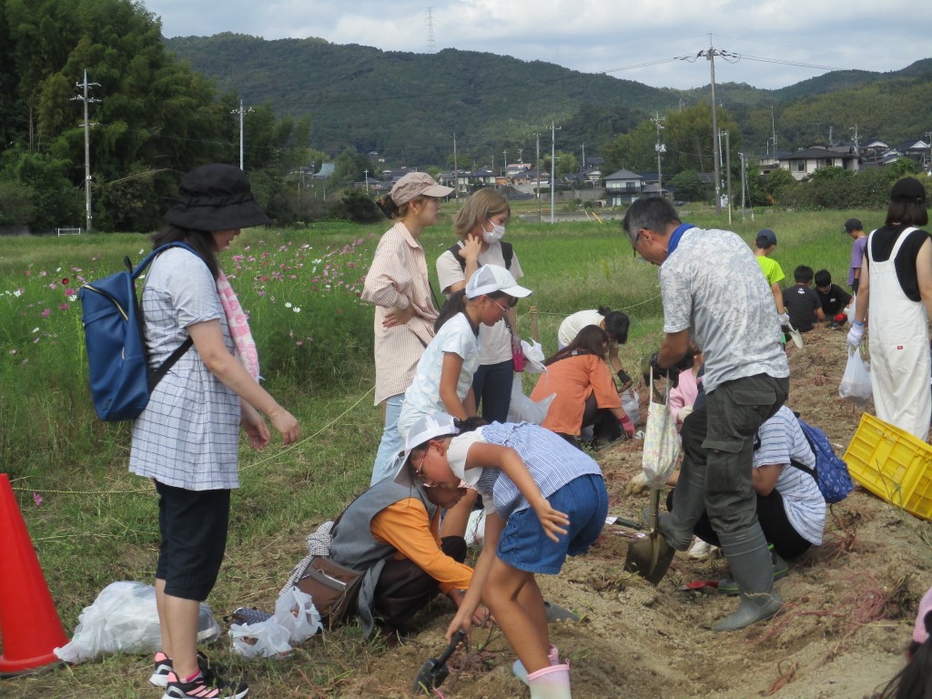 待望の「さつまいも掘り会」の画像