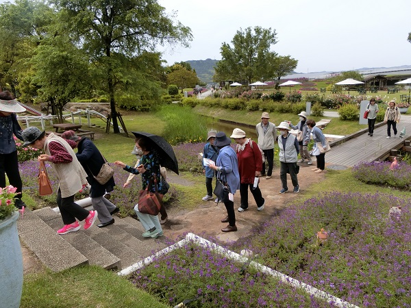 令和6年度　柳井フラワーランドの画像3