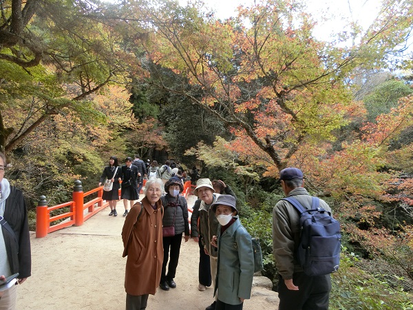 令和5年度　宮島旅行の画像3