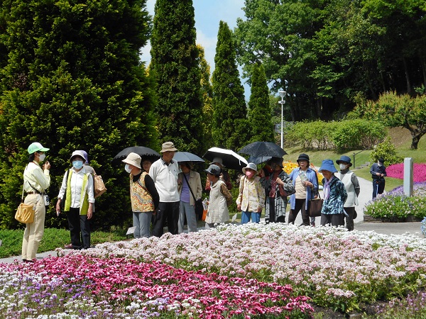 令和5年度　柳井フラワーランドの画像2