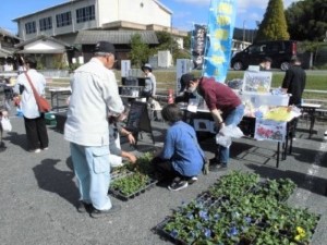苗の販売の画像