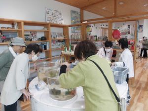 5月　視察見学（バラ園・ひらめき養殖場）の画像2