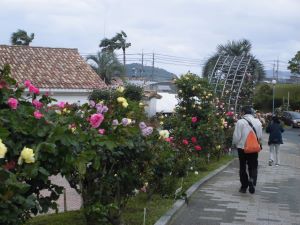 5月　視察見学（バラ園・ひらめき養殖場）の画像3
