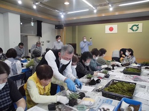 6月　こけ玉作りの画像