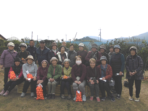11月　みかん狩り（周防大島町）の画像1