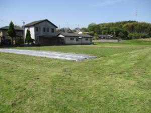 4月27日　コスモス畑草刈1の画像