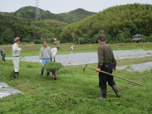5月18日　コスモス畑草刈の画像